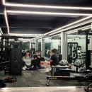 베리 핏 피티 이미지