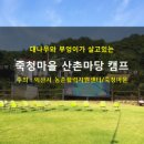 죽청대파니마을 | 대파니 산촌캠프 후기