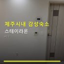 더스테이인 애월 관광호텔 | 제주시내 감성숙소 스테이라온 주차 편리, 객실 특징 상세 안내