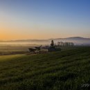 한성목장 이미지