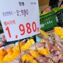 맛있는과일신선한야채