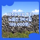 이화미디어플러스 | 대구출발 제주도 패키지 여행 / [특가] 대구/서울_제주도_3박4일 #관광패키지 #노옵션 #석조