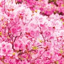 곡성-055 이미지