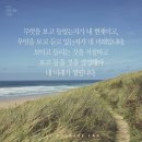 [11월 넷째 주 기록] 117년 만의 폭설 그럼에도 자리를 지키며 열심히 살아낸 직장인의 일기!