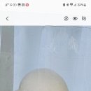 몽시오 이미지