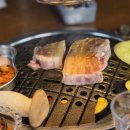 탄관마 이미지
