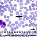 푸른나무아래약국 이미지