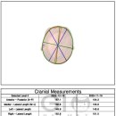 지오크리에이티브 대전충청지사 이미지