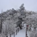 제주대학교사범대학부설중학교 | 제주 경매5계 2025 타경 7757 [전]