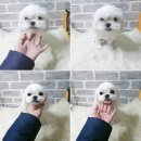 이쁘게，멋지게