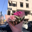 완결포장 | 쌉초의 난 완결 기념 제1회 팬미팅 Q&A 및 후기