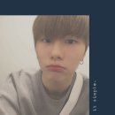 오늘도 댕댕 이미지