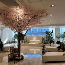 삼성본프라임정형외과의원 이미지