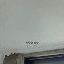 용인 청현마을두진아파트 시공 후기