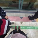 [강원도 가볼만한 곳] 오대산 비로봉 최단코스 완등 후기｜선재길·월정사·전나무숲 힐링 여행