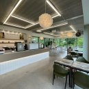 몽몽이 애견미용 이미지