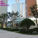 강남-276 이미지