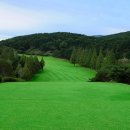 뉴그린골프연습장 이미지