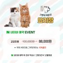 묘리깡 이미지
