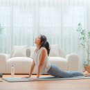 공덕코어 이미지