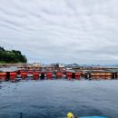 목과바다펜션민박 이미지