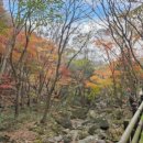 백운사 | 전북 장성 백운사에서 약사암 가는길 방문 후기