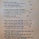 투리스타 - 영등포구 국제금융로8길 6 | 전주 만성동 브런치카페 투리스타 방문후기! 하와이완 새우 라이스가 진짜 맛있음 🥲
