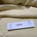 신창식이비인후과의원 | 코로나 확진 격리 증상 7일 기록 : 내가 확진자라니 (자가진단, 신속항원 양성)