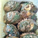 완도건어물 이미지