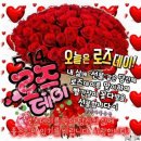 로즈데이 Daum카페
