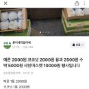 훈이네과일야채 이미지