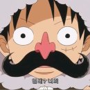 루피안경