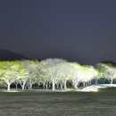 오릉 이미지