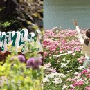 천지공원 이미지