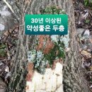 바해 이미지