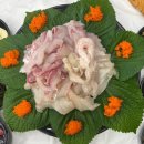 교동막회집 | 속초맛집 막써는회포차 가성비 미쳤던 속초막회 깻잎날치알 꿀조합 후기