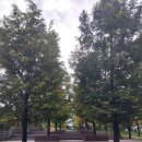 관호산성둘레길 | 칠곡여행, 관호산성 둘레길을 걷기