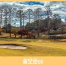 유신회원권