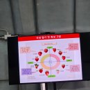 정렬농장 | [내돈내산]양평 딸기체험 추천 :: 청정모아농장 후기, 가격