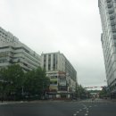 비다펠리즈 이미지