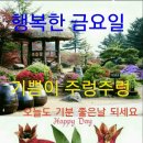 "비대면"이란 단어가 언제부터 생활속에 다가온 불금 입니다 이미지