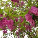 (주)퍼플마루 이미지