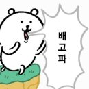 러쉬피트니스 네이버블로그