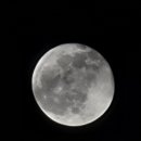 용성미산숲 이미지