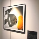 209 | 잠실 빈센트발 SHADOWGRAM 전시회 후기 (뮤지엄 209 주차 팁)