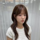 나영파크 이미지