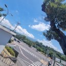 대천동주민센터 이미지