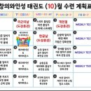 창의와인성 태권도 이미지