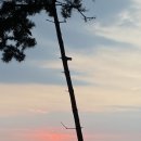 해리스테이 펜션 이미지