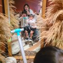 즐거운어린이집 | 아기 타는캐리어 유아 캐리어 마이크로 러기지 이지 후기 아기랑 여행 필수템